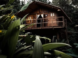 Casas de madera para el futuro